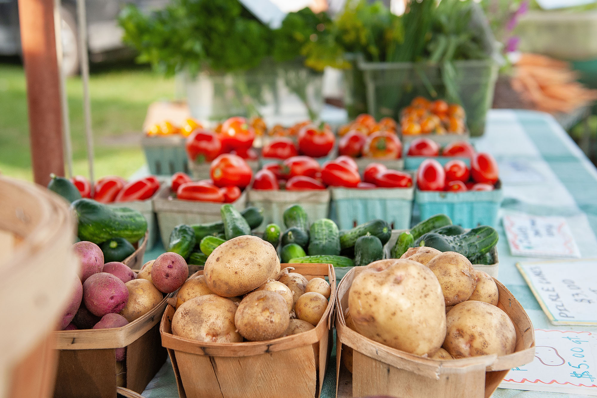 Boyne City Farmers Market Booth with fresh veggies displayed.